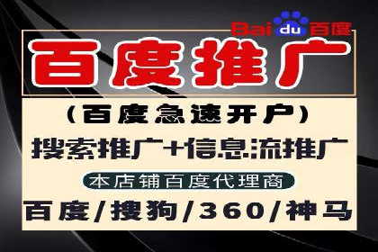 百度推广渠道拓展，成功案例分析